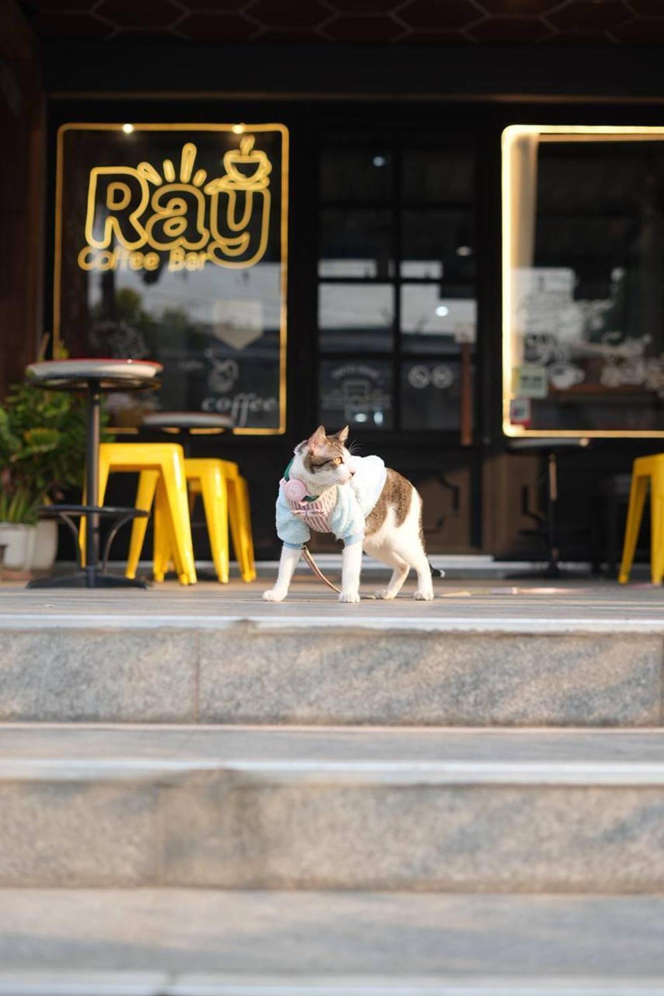 Ray Hostel Chiang Mai Exterior photo